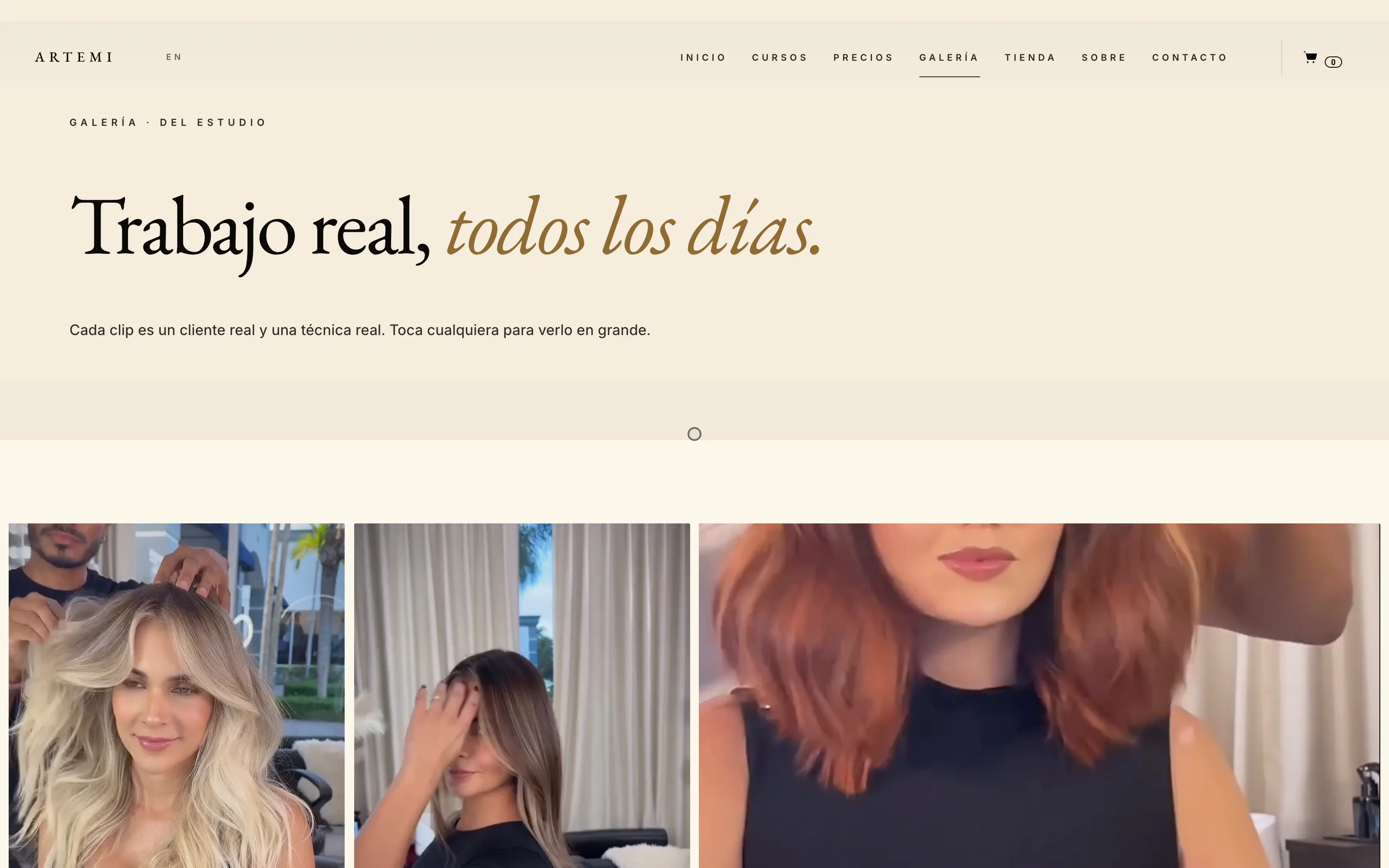 Artemi Hair Makeup — Galería