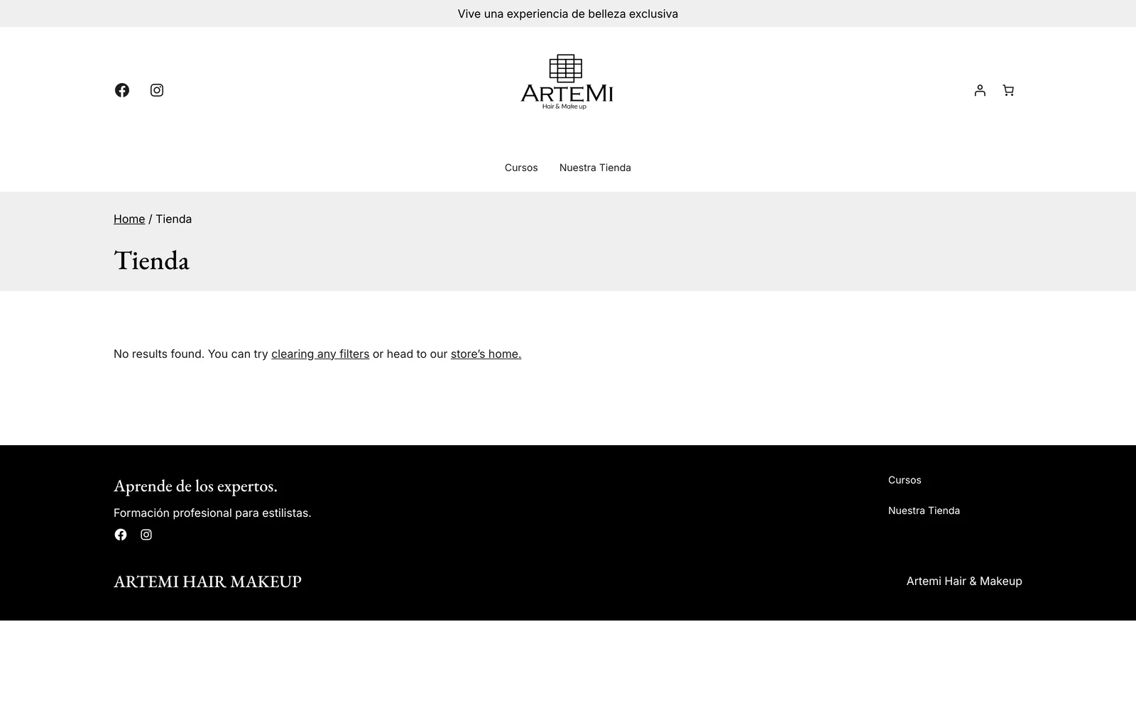 Artemi Hair Makeup — Tienda — Amazon-fulfilled