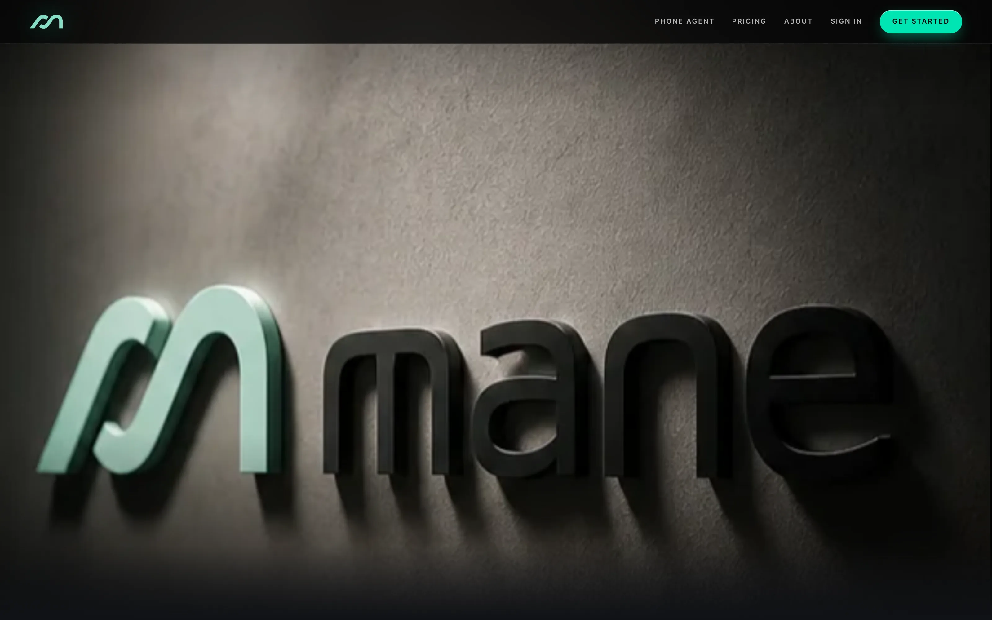 Mane · the platform — Cinema hero