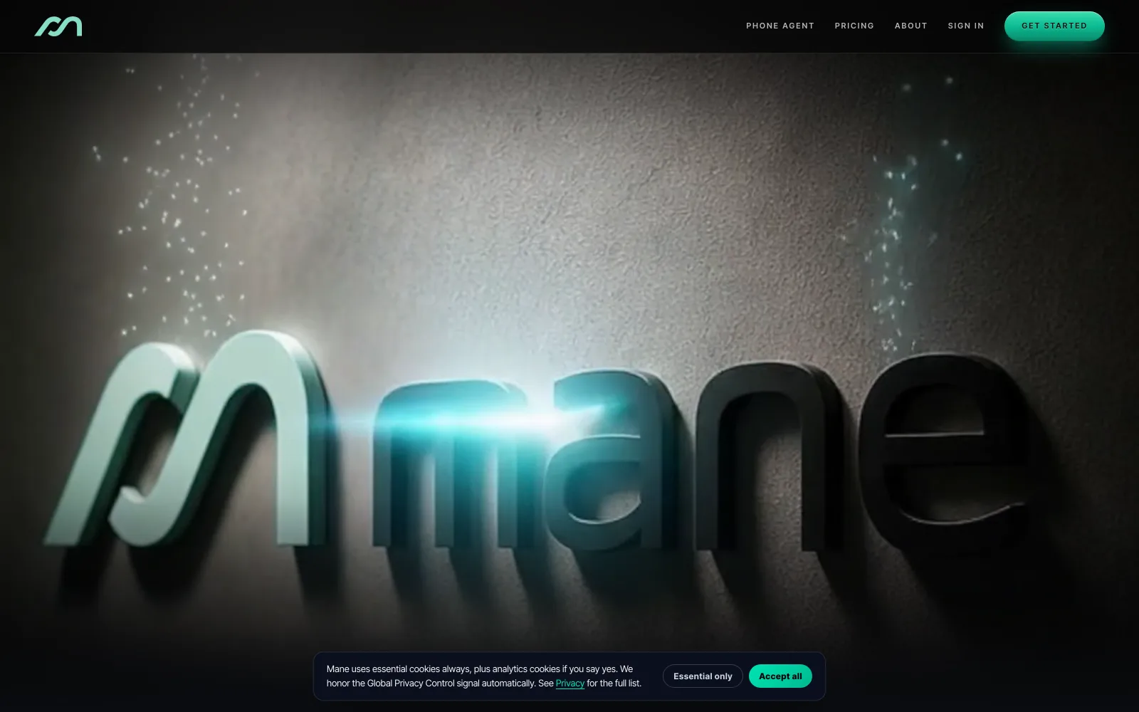 Mane · the platform — hero screenshot